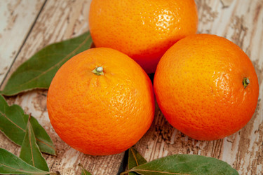 Similar image 21550802