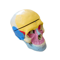 Similar image 21550805