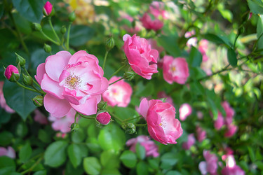 Similar image 21550809