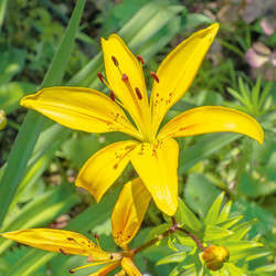 Similar image 21550811