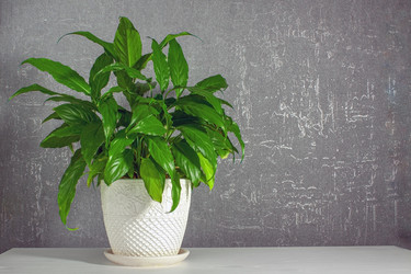 Similar image 21550812