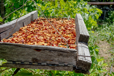 Similar image 21550822