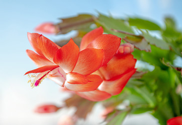 Similar image 21550470