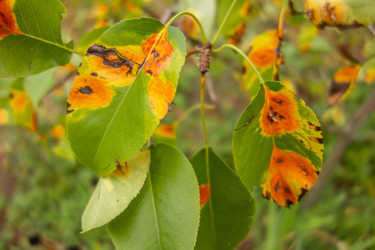 Similar image 21550472