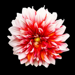 Similar image 21550475