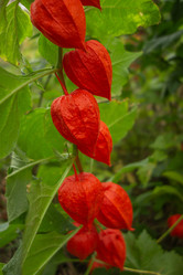 Similar image 21550479