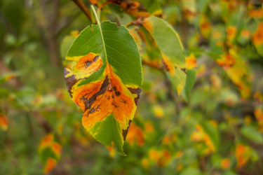 Similar image 21550481