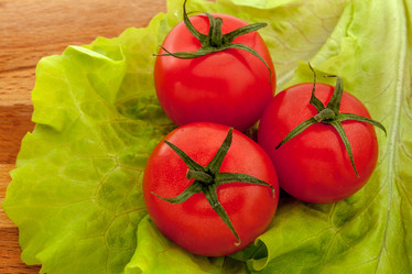 Similar image 21550507