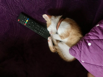 Similar image 21552882