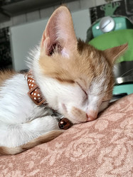 Similar image 21552884