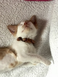 Similar image 21552885