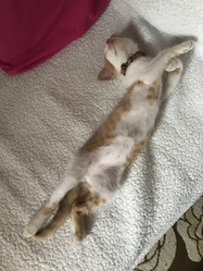 Similar image 21552886