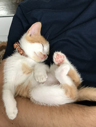 Similar image 21552887