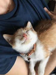 Similar image 21552888