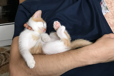 Similar image 21552890