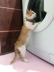 Similar image 21552892