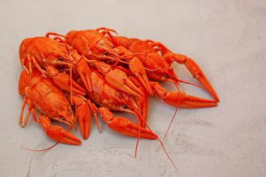 Similar image 21550782