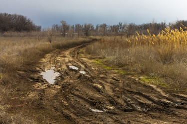 Similar image 21550826