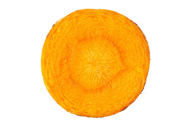 Similar image 21550828