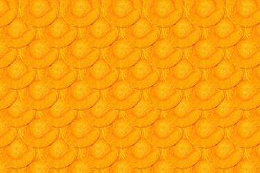 Similar image 21550831