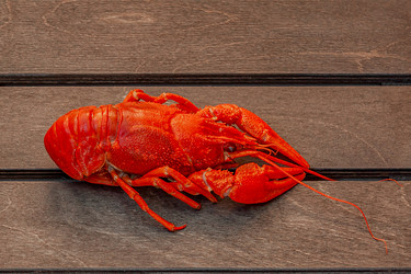 Similar image 21550832