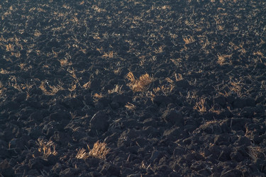 Similar image 21550845