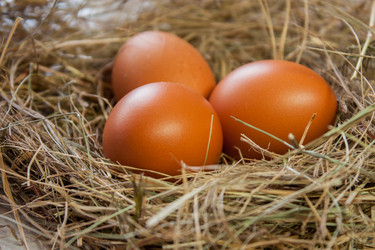 Similar image 21550847