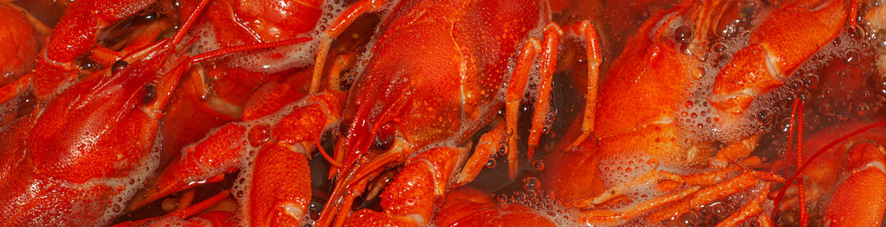 Similar image 21550848