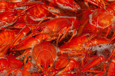 Similar image 21550851