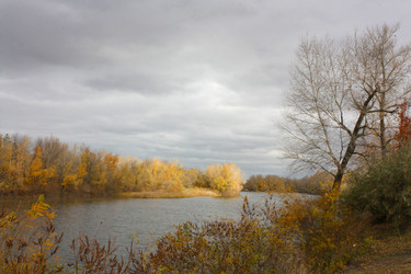 Similar image 21550853