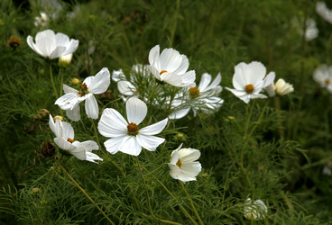 Similar image 21554325