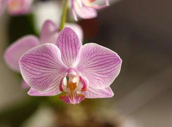 Similar image 21550524