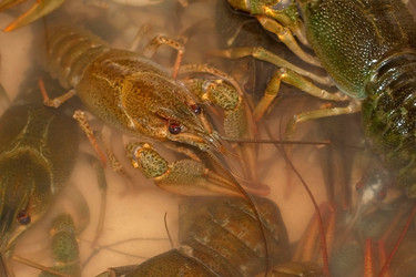 Similar image 21550528