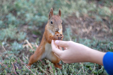 Similar image 21550536