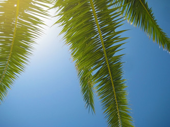 Similar image 21550711