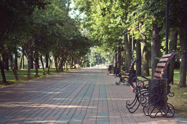 Similar image 21550860