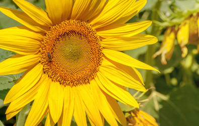 Similar image 21550866