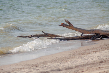 Similar image 21550873