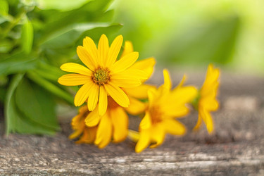 Similar image 21550874