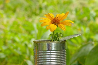 Similar image 21550884