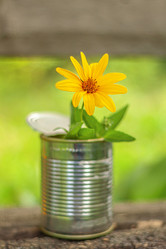 Similar image 21550885