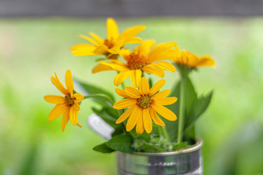 Similar image 21550887