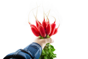 Similar image 21550888