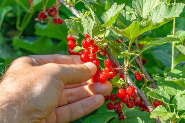 Similar image 21550892