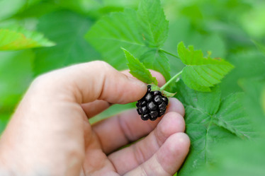 Similar image 21550894