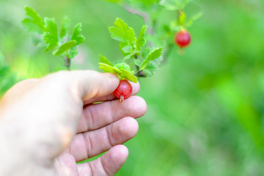 Similar image 21550896