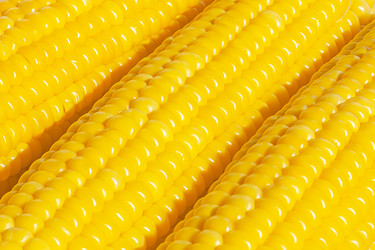 Similar image 21550898