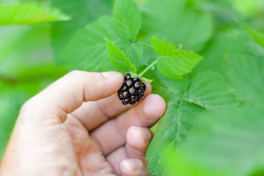 Similar image 21550900