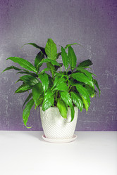 Similar image 21550901