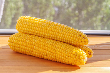 Similar image 21550904